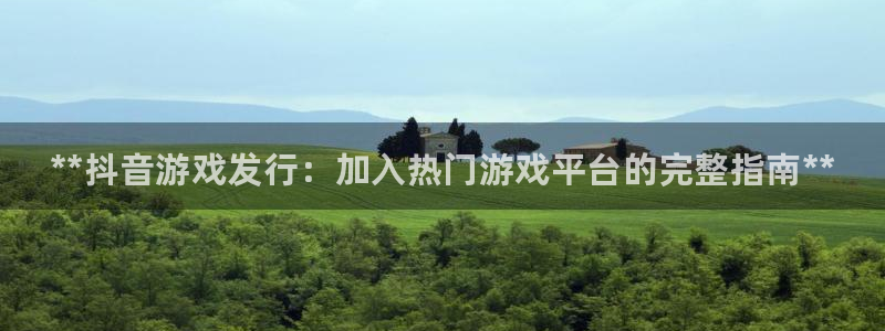 门徒娱乐注册下载：**抖音游戏发行：加入热门游戏平台的完整指南**