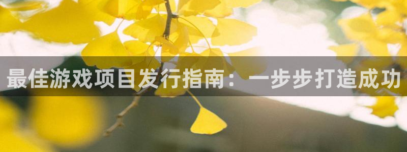 娱乐门徒txt：最佳游戏项目发行指南：一步步打造成功