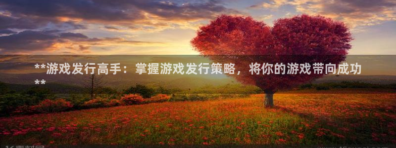 门徒平台：**游戏发行高手：掌握游戏发行策略，将你的游戏带向成功
**