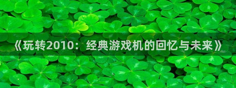 门徒平台测速网址是什么：《玩转2010：经典游戏机的回忆与未来》