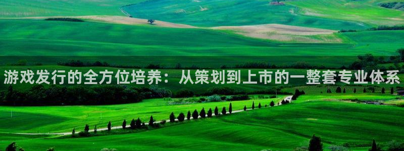 门徒平台入.门徒平台.怎么样.长久.中国：游戏发行的全方位培养：从策划到上市的一整套专业体系