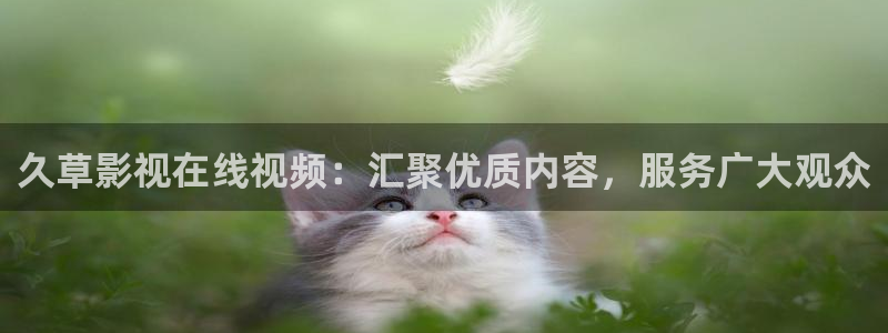 五杀影院在线观看免费最新：久草影视在线视频：汇聚优质内容，服务广大观众