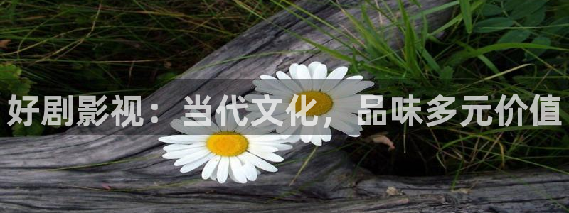 五杀影院：好剧影视：当代文化，品味多元价值