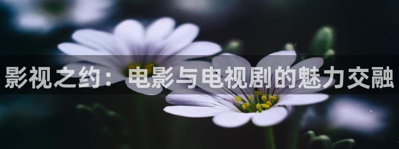 五杀影院电影大全：影视之约：电影与电视剧的魅力交融