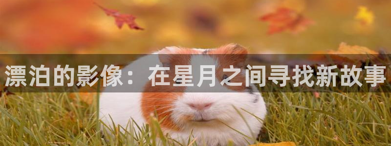 五杀影院在线播放：漂泊的影像：在星月之间寻找新故事