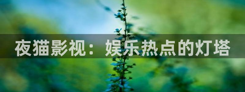 五杀影院免费高清完整版在线观看：夜猫影视：娱乐热点的灯塔