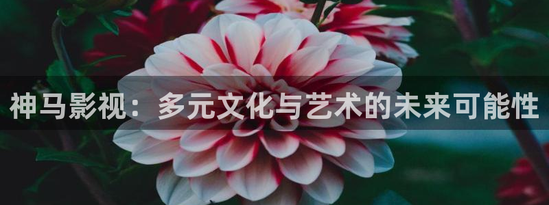 五杀影院色