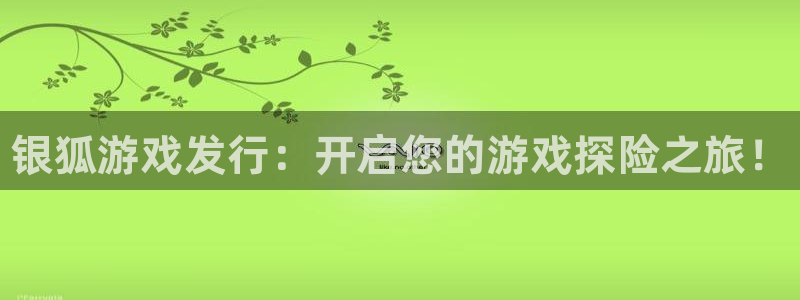 门徒平台商 411O31 门徒：银狐游戏发行：开启您的游戏探险之旅！