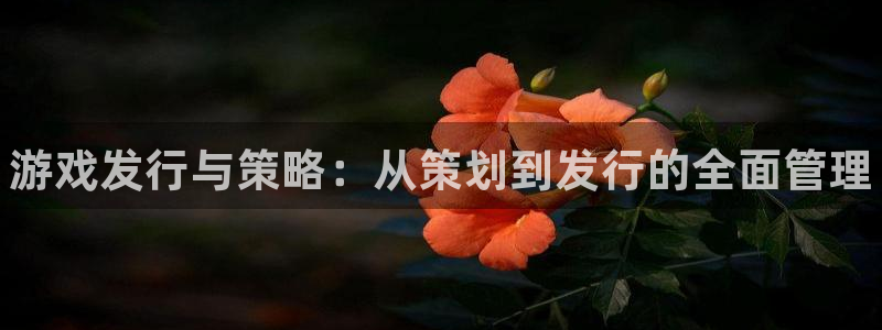 门徒娱乐下载手机版