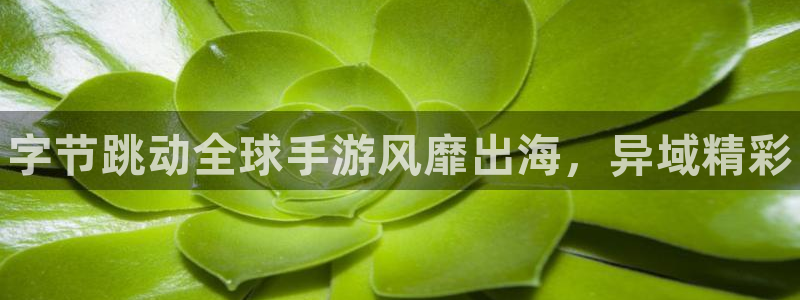 门徒平台布7O777：字节跳动全球手游风靡出海，异域精彩