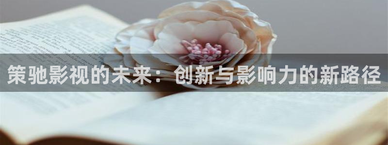 五杀影院官网在线